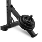 Belt squat