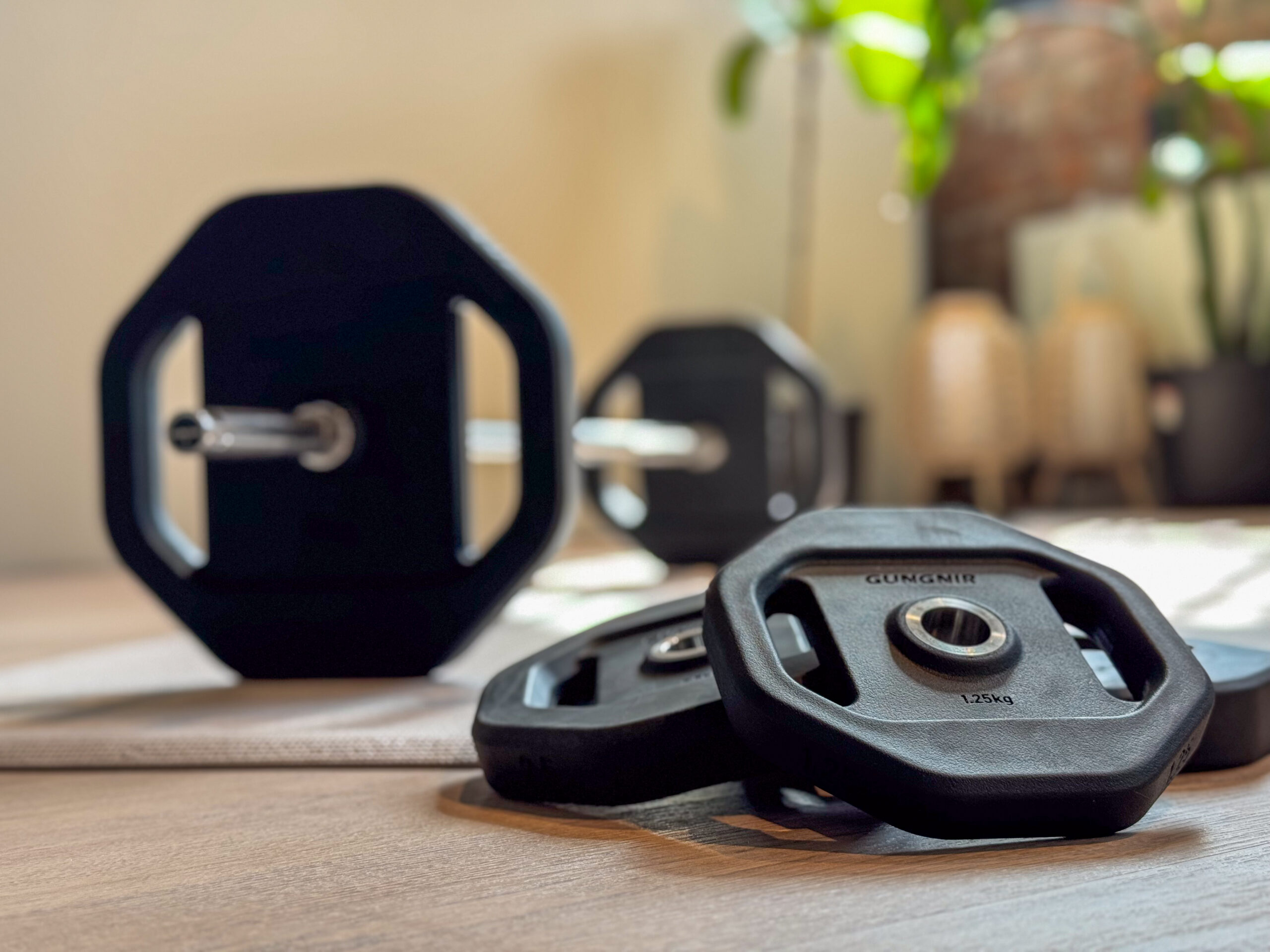 Gungnir The Group Plate - 5kg - Image 2