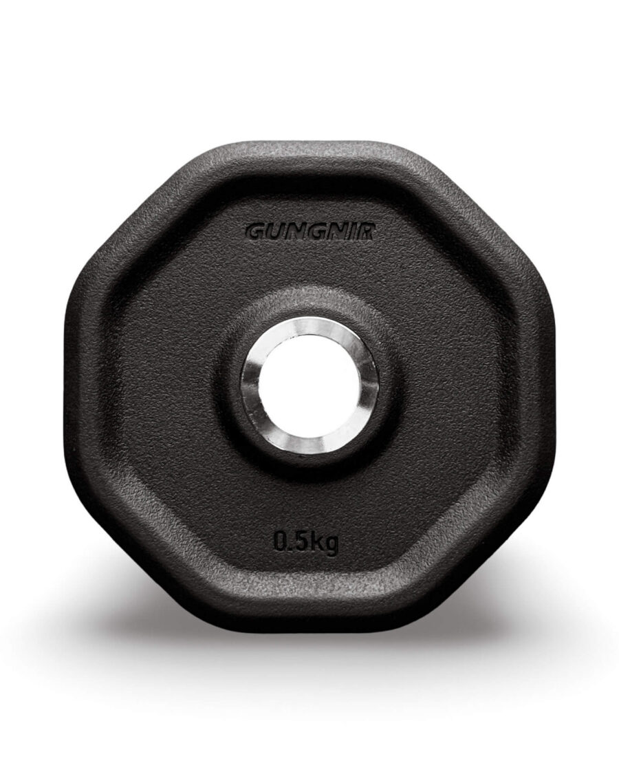 Gungnir The Group Plate - 0.5kg