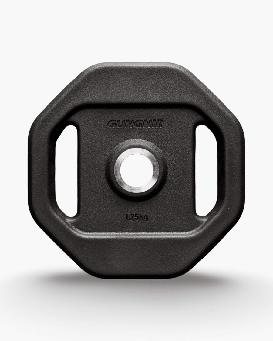 Gungnir The Group Plate - 1.25kg