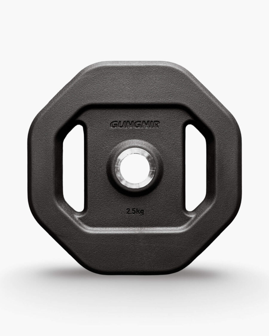Gungnir The Group Plate - 2.5kg